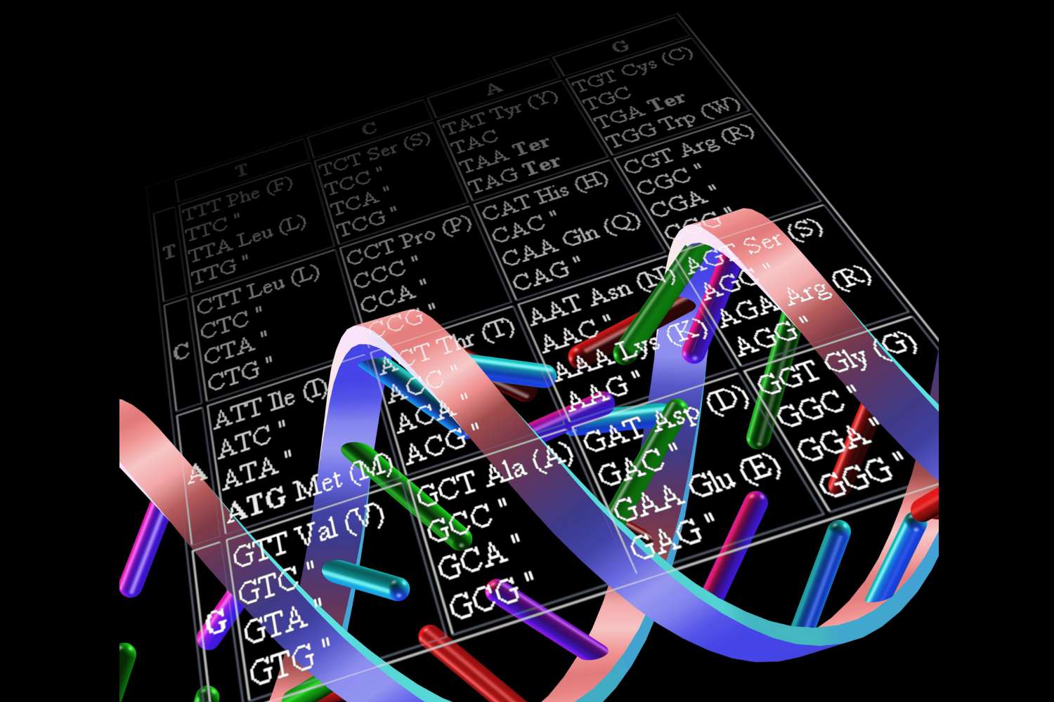 Species-Specific Genetic Code Translator