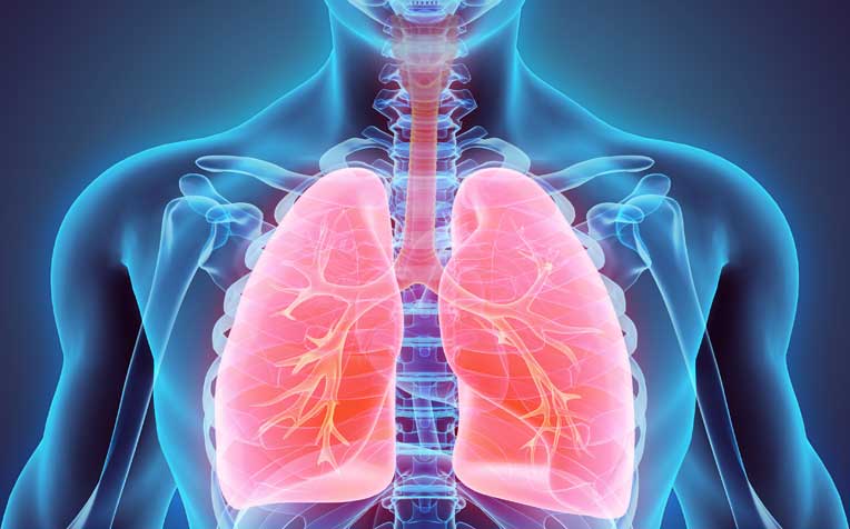 Tuberculosis Detection